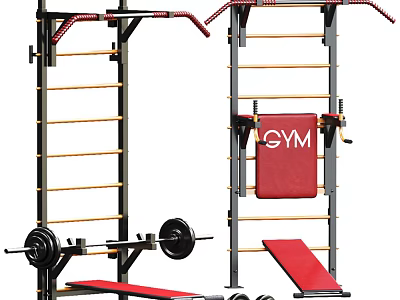 Multifunctional Gym Sports Equipment With Pull Up Bar Dip Bars Barbell And Bench Press 3d model