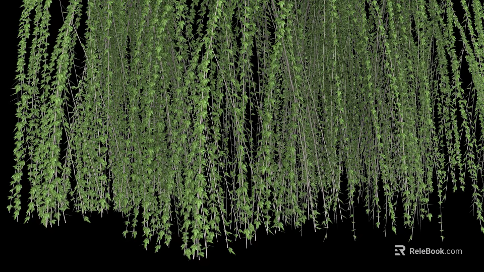 Graceful Weeping Willow Scenery With Lush Green Hanging Branches And Leaves 3d model 