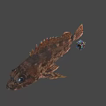 Brown Fish With Large Eyes And Colorful Rubik's Cube On Gray Background