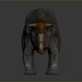 Realistic Triceratops Dinosaur Figure With Orange Horns Gray Body And Frill