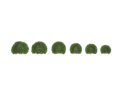 Trimmed Round Green Bushes Arranged In A Row For Garden Landscaping 3d model