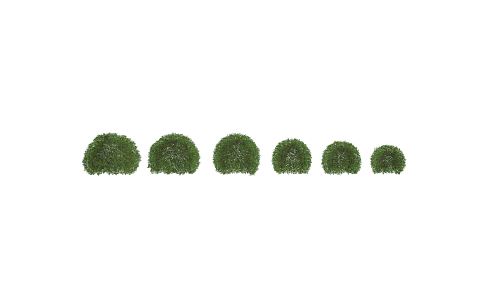 modern shrub hedgerow shrub ball tree spherical shrub trees grass artificial plant garden plant 3d model