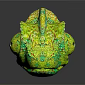 Vibrant Green And Yellow Chameleon With Detailed Skin Texture On Black Background