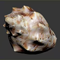 Healthy Human Organ Skin With Natural Hair Follicles And Texture Details