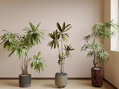 floral potted plant green plant potted plant 3d model
