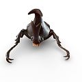 Modern unicorn rhinoceros beetle triangle beetle shell insect insect 3d model