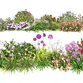 Vibrant Garden Display With Various Colorful Flowers And Lush Green Grasses