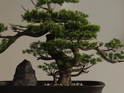 Artistic Bonsai Tree With Curved Branches Lush Green Leaves And Black Pot 3d model