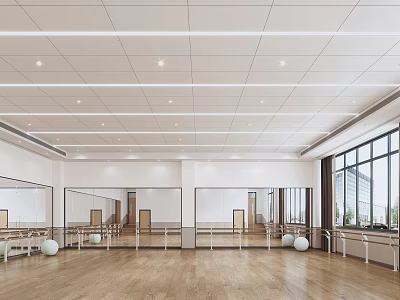 Modern Dance Studio Yoga Room 3d model