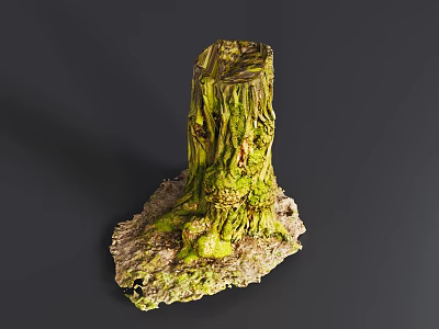 Arbor Stump With Moss Covered Surface And Natural Texture On Dark Background 3d model