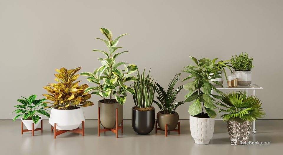 Diverse Potted Bonsai Plants With Mixed Leaf Colors And Various Pot Styles On Wooden Stands 3d model 