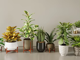 Modern potted plant green plant flowers and plants pile 3d model