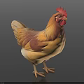 Realistic Rooster With Red Comb And Yellow Brown Feathers Standing On Dark Background