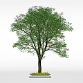 Trees Arbor 3d model