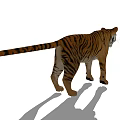 Realistic 3D Tiger Model With Orange Fur Black Stripes Open Mouth Standing Pose White Background