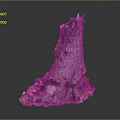 Natural Tree Stump Decorative Piece With Rough Surface Dark Purple And Light Tones