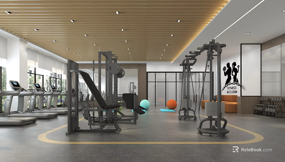 Modern Fitness Gym Interior With Training Machines Exercise Ball And Mirrors 3d model 