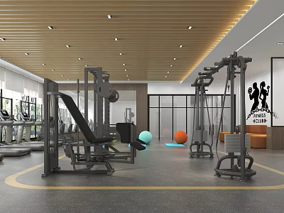 Modern Fitness Gym Interior With Training Machines Exercise Ball And Mirrors 3d model