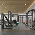 Modern Fitness Gym Interior With Training Machines Exercise Ball And Mirrors