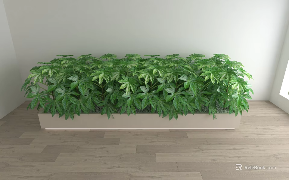 Bonsai Potted Plant In Long Rectangular Planter With Lush Green Leaves On Indoor Wooden Floor 3d model 