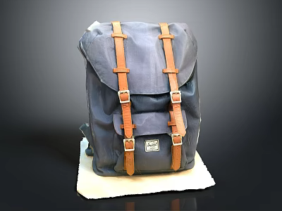 Durable Blue Canvas Backpack With Brown Leather Straps For Daily Use 3d model