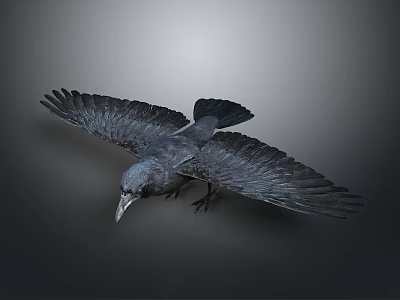 Crow Bird Bird Bird Bird Bird Animal Game Animal Cartoon Animal PBR Animal 3d model