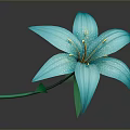 Blue Lily Plant with Green Stem and Leaves on Dark Background with Reflection