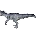 Fierce Realistic Gray Scaled Dinosaur With Open Mouth And Sharp Teeth Standing