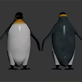Penguins Standing Front And Back With Orange Neck White Belly Black Back On Dark Background