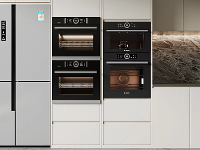 Modern Kitchen Appliances with Built in Refrigerator and Ovens in Cabinet Design 3d model