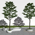 Modern Tree Pool Landscape Tree 3d model