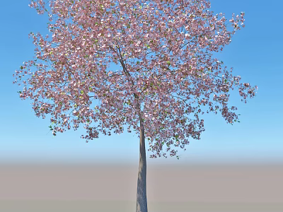 Vibrant Flowering Tree With Lush Pink Blossoms Under Clear Blue Sky 3d model
