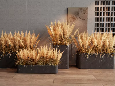 Black Flower Planters With Golden Ornamental Grass In Modern Indoor Interior 3d model