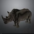 Realistic 3D Rhino Model With Rough Skin Texture Standing On Gray Background