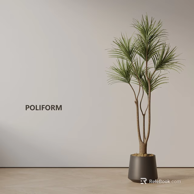 Decorative Indoor Potted Plant With Slender Trunks Green Leaves In Dark Pot Against Light Wall 3d model 