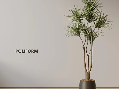 Decorative Indoor Potted Plant With Slender Trunks Green Leaves In Dark Pot Against Light Wall 3d model