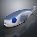 Cute Aquatic Pufferfish Featuring Blue Large Eyes And Blue Gray White Body On Dark Background