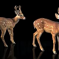 Realistic Two Spotted Deer Standing On Black Background With Reflections