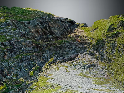 Garden Landscape Design Featuring Rocky Slopes Green Grass and Lush Vegetation Coverage 3d model