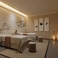 Elegant Chinese Style SPA Room With Massage Beds Wall Paintings And Floor Lamps