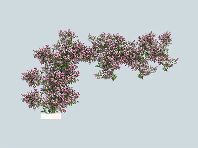 Lush Decorative Vines With Purple Flowers And Green Leaves For Home Decoration 3d model