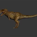Realistic T Rex 3D Rendering With Detailed Skin Texture Walking Pose On Gray Background 3d model