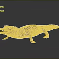 Modern Crocodile Alligator Nile Crocodile carnivore 3d model