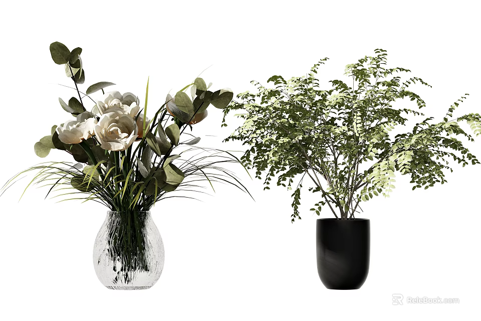 Glass Vase With White Flowers And Green Leaves Next To Black Vase With Ferns 3d model 