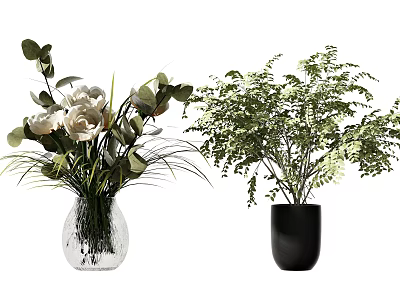 Glass Vase With White Flowers And Green Leaves Next To Black Vase With Ferns 3d model