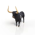 Black bull standing with long yellow horns and white spots on white background