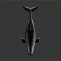 Realistic Gray And White Dolphin With Open Mouth Fins Tail Shiny Surface And Reflection