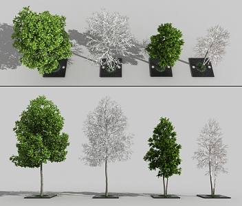 The Modern Tree 3d model