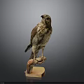 Lifelike Eagle Perched On Wooden Base With Detailed Feather Texture