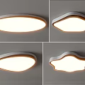 Modern Various Shaped Ceiling Lights With Bright Illumination For Home Interiors